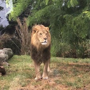 Meet your Posher, Lily